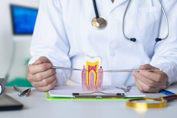 Best Emergency Treatment for Toothache in Carleton, MI